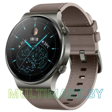 Смарт-часы Huawei Watch GT2 Pro (туманно-серый)